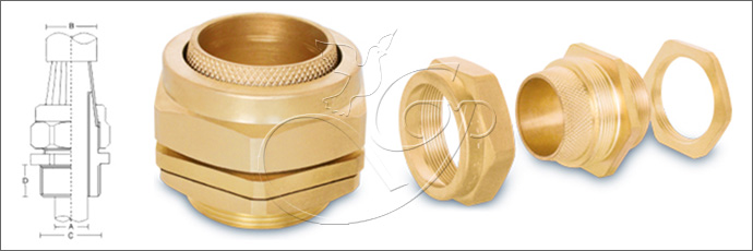 BW 2 PT Cable Glands