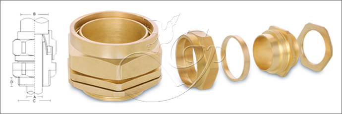 BW 4 PT Cable Glands