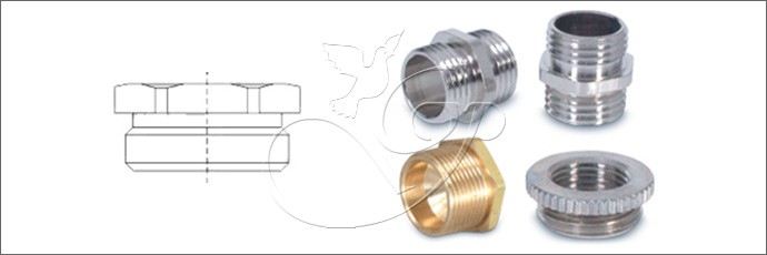 Hexagonal Reducers & Stop Plugs